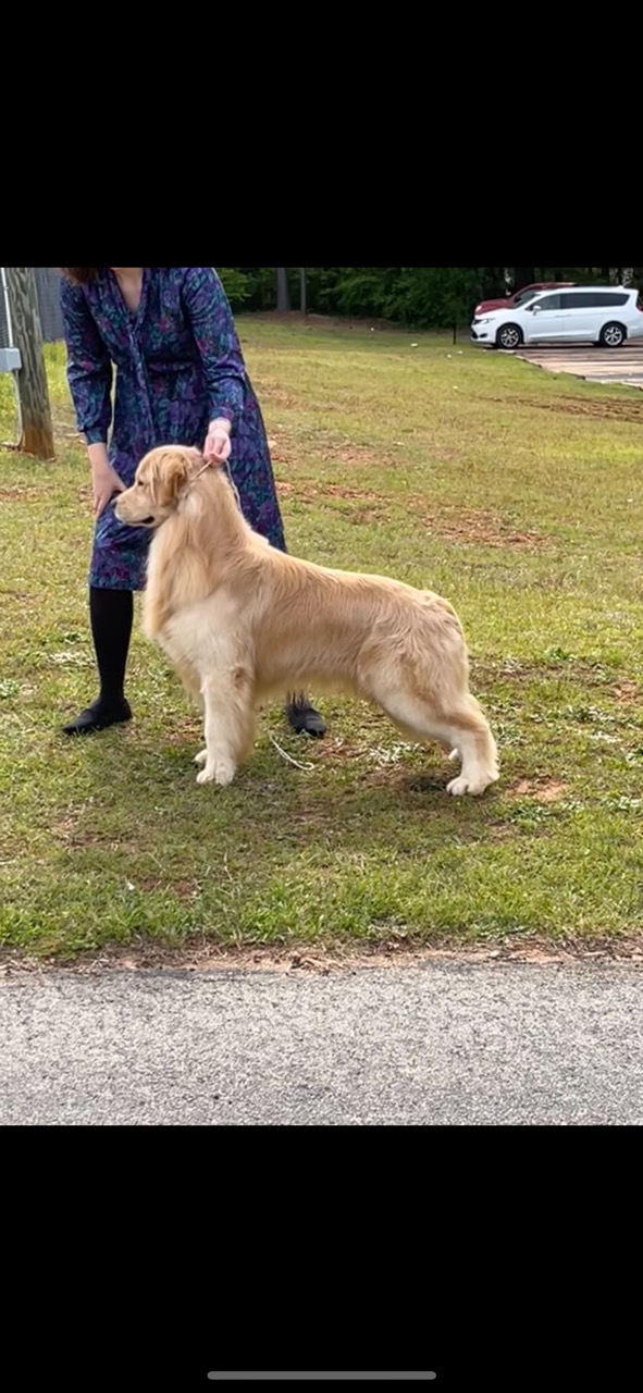 Harlem 2.5 years 1
